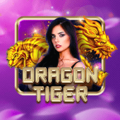Dragon Tiger live table on phdream login account